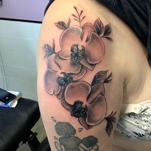 Tatouage bras coquelicot