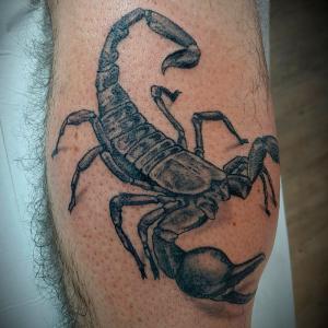 Tatouage bras scorpion